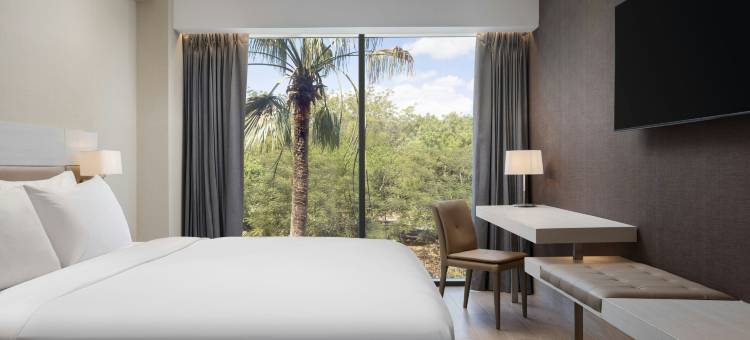 圣地亚哥德洛斯卡瓦列罗斯AC酒店(AC Hotel Santiago de Los Caballeros)图片