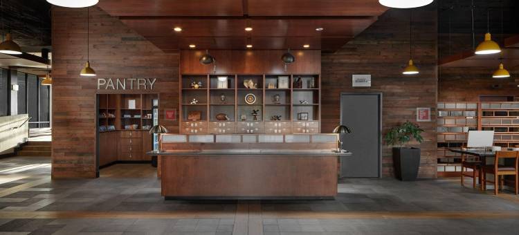 维吉尼亚海滩海滨福朋喜来登酒店(Four Points by Sheraton Virginia Beach Oceanfront)图片