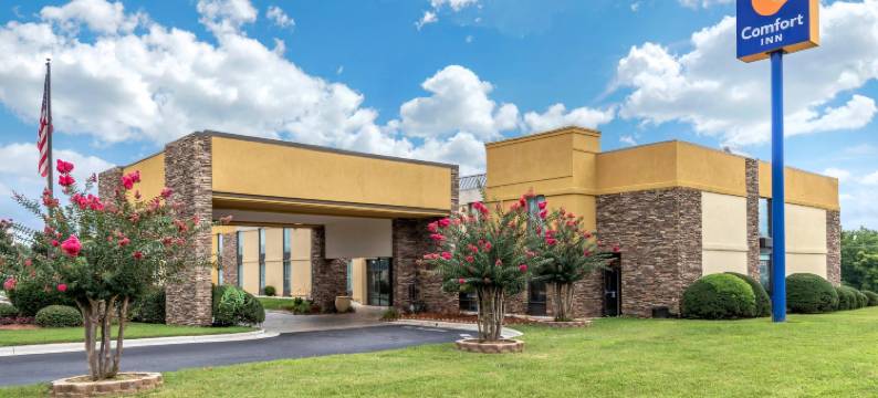 舒适酒店(Comfort Inn)图片