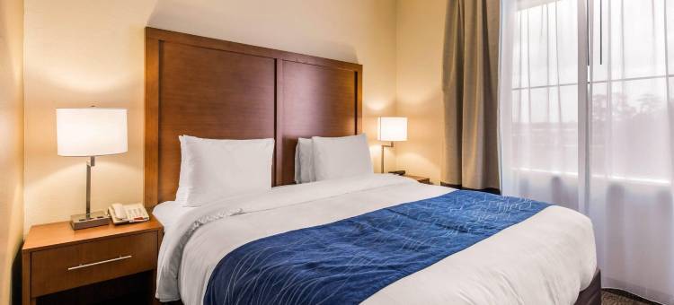 IAH布什机场-东舒适套房酒店(Comfort Inn & Suites IAH Bush Airport - East)图片