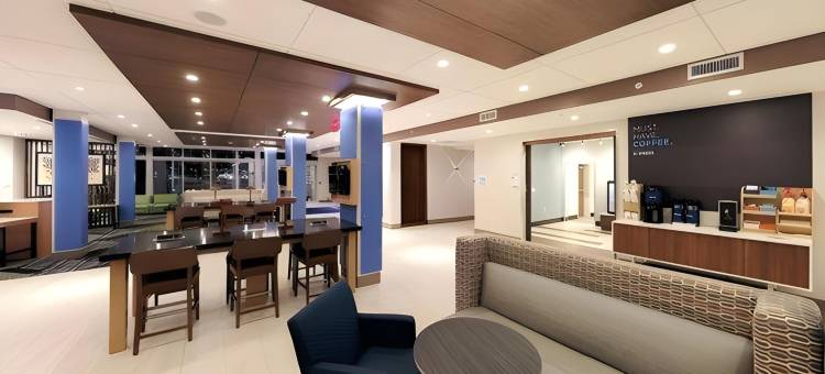 底特律西北智选假日套房酒店-利沃尼亚(Holiday Inn Express & Suites Detroit Northwest - Livonia)图片