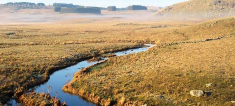 Gîte de France Bon Aubrac for 12 People图片