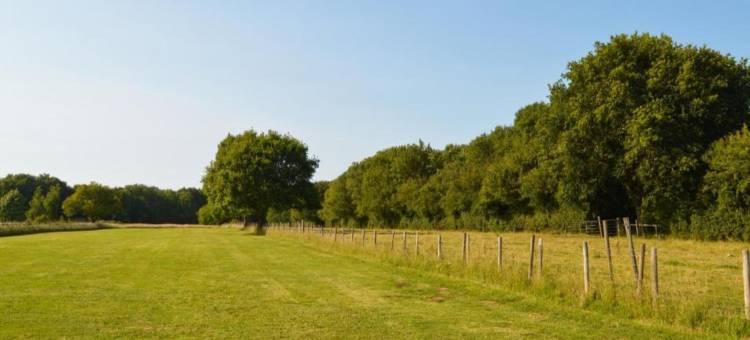 Shepherd's Hut near Cotswolds & Sky Dive Fun图片