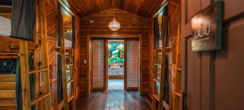 帕玛尔海滩小屋(Palmar Beach Lodge)图片