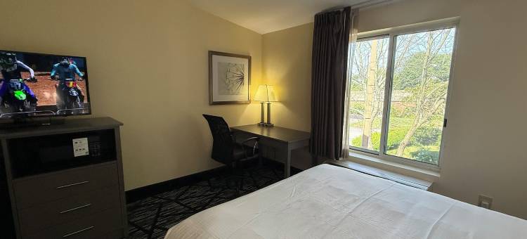 金斯顿普利茅斯湾呗盟套房酒店(Plymouth Bay Inn)图片