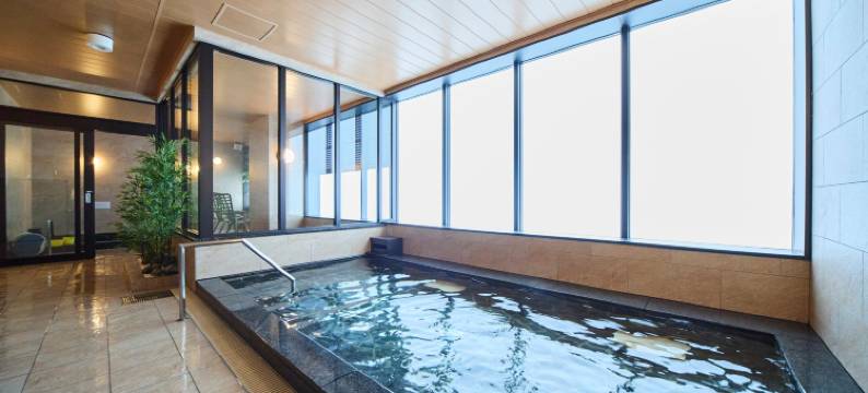 Hotel Eins Osaka Kadoma City Station图片