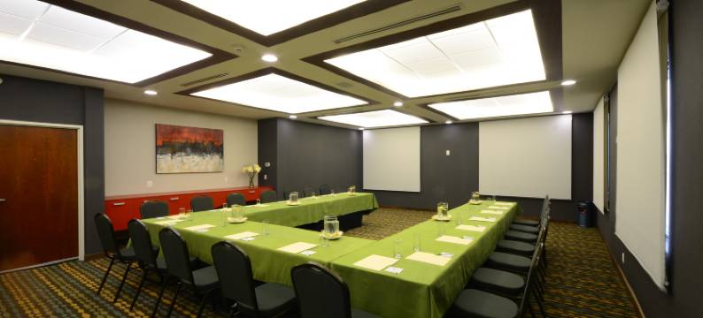 Holiday Inn 坦皮科阿尔塔米拉(Holiday Inn TAMPICO ALTAMIRA by IHG)图片