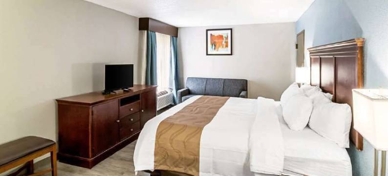 法拉格特旅馆及套房(Farragut Inn & Suites)图片