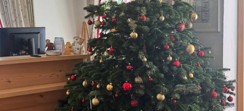 苏德乐费得柏格酒店(Berghotel Sudelfeld)图片