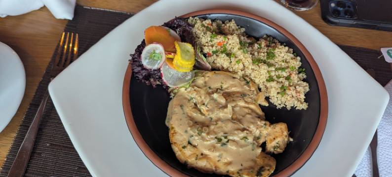 Vibra 疗愈小屋和水疗中心(Vibra Wellness Hotel y Spa)图片