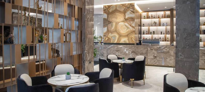 由Meliá附属的廷拉那埃丽莎酒店(Hotel Elisa Tirana, Affiliated by Meliá)图片
