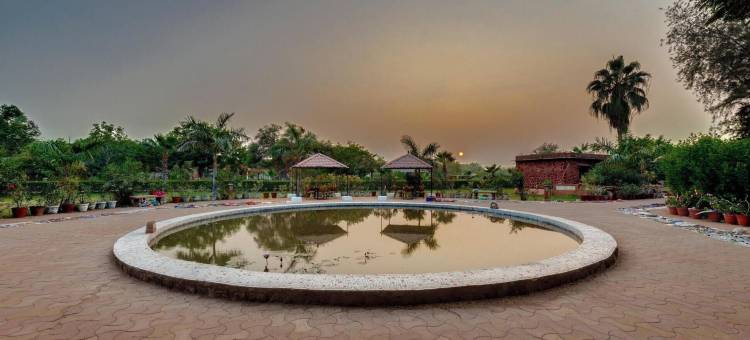 皇家狩猎湖畔度假村-小兰恩库奇(Royal Safari Lakeside Resort- Little Rann of Kutch)图片