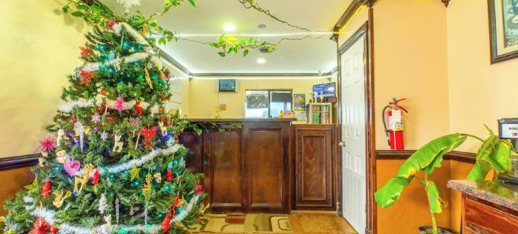 OYO经济旅馆爱丁堡281号公路(Budget Inn By OYO Edinburg Hwy 281)图片
