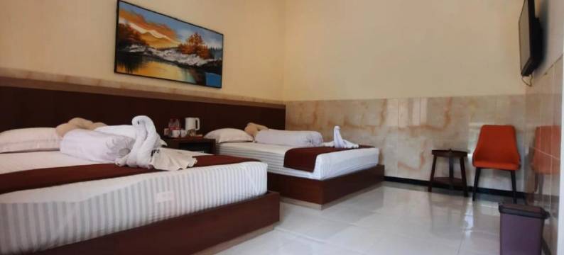 策德瓦斯酒店(Hotel Cendrawasih)图片