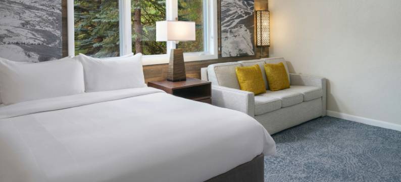 韦尔万豪河滨桦树酒店(Marriott's StreamSide Birch at Vail)图片