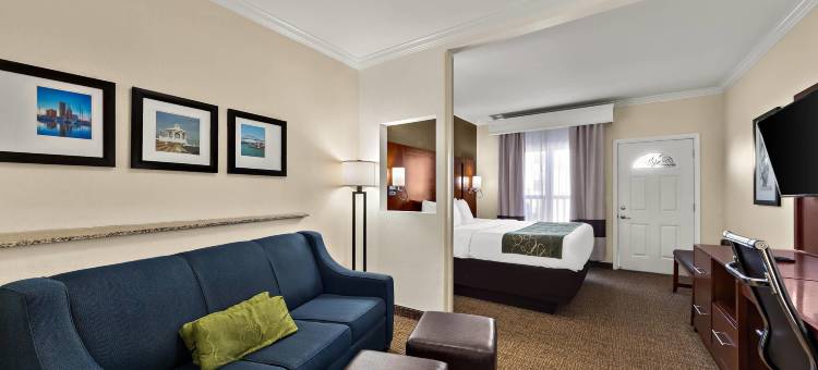 科珀斯克里斯蒂中央舒适套房酒店(Comfort Suites Central)图片