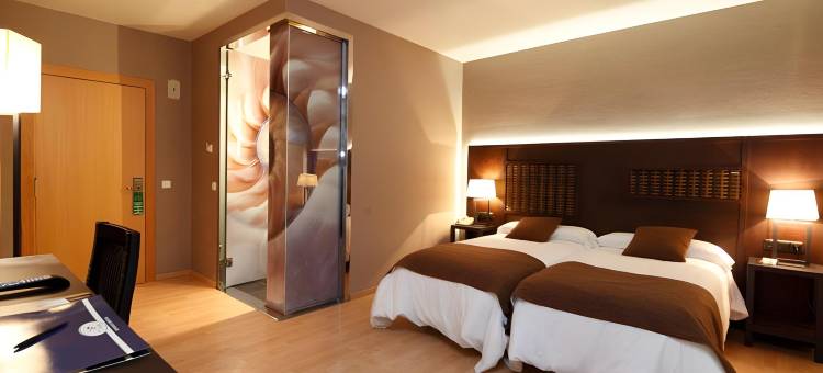 国会酒店(Hotel Spa Congreso)图片