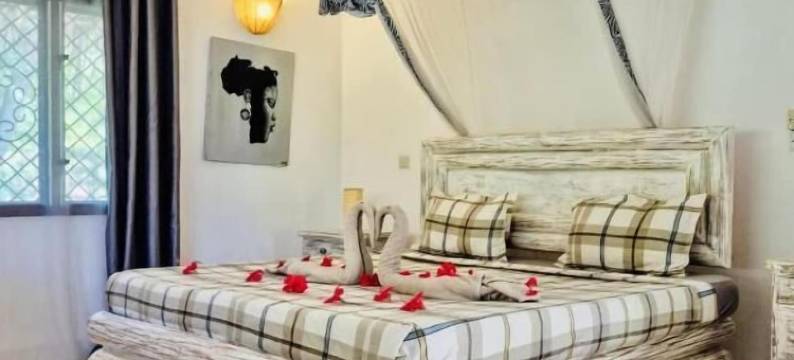 白色尼翁巴马林迪(White Nyumba)图片