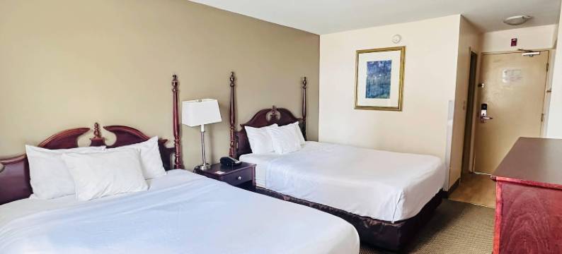 城市中心伊康旅馆(Econo Lodge City Centre)图片