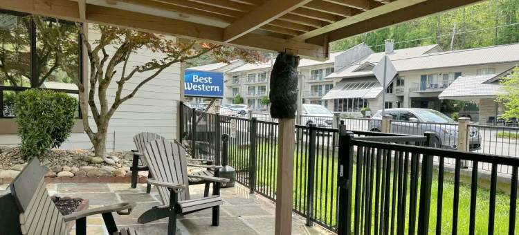 加特林堡市中心温德姆豪生酒店(Howard Johnson by Wyndham Downtown Gatlinburg)图片