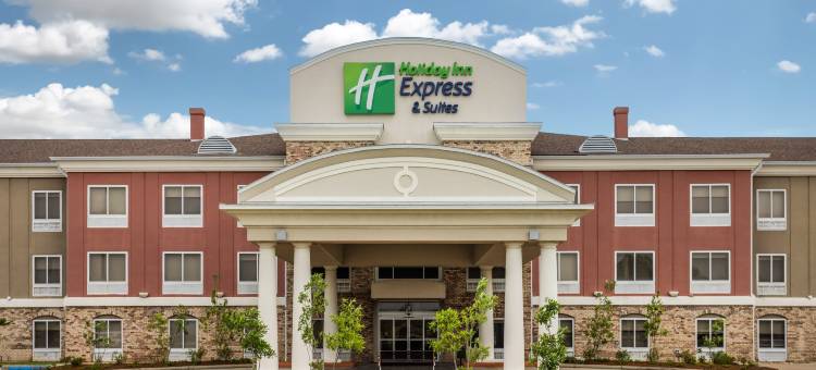 智选假日套房酒店新伊比利亚 - 艾利岛(Holiday Inn Express & Suites NEW IBERIA-AVERY ISLAND by IHG)图片