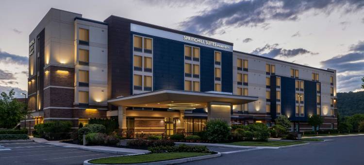 阿伦敦伯利恒森特瓦利SpringHill Suites酒店(SpringHill Suites Allentown Bethlehem/Center Valley)图片