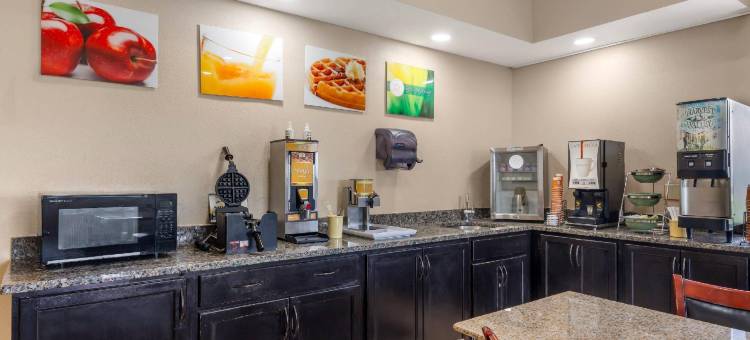 圣路易斯凯西维尔凯艺套房酒店(Quality Inn & Suites Caseyville - St. Louis)图片