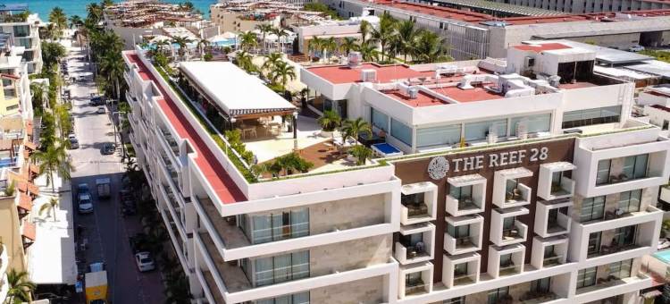 礁湖28酒店及水疗中心 – 豪华成人专属 – 全套房 – 可选全包。(The Reef 28 Hotel & Spa - Luxury Adults Only - All Suites - with Optional All Inclusive)图片