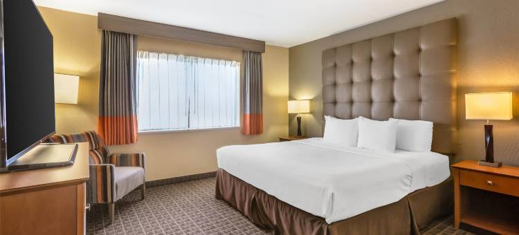 斯科特斯德雷鸟贝斯特韦斯特优质套房酒店(Best Western Plus Scottsdale Thunderbird Suites)图片