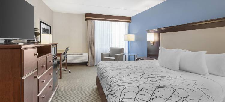 科达伦贝斯特韦斯特优质酒店(Best Western Plus Coeur DAlene Inn)图片