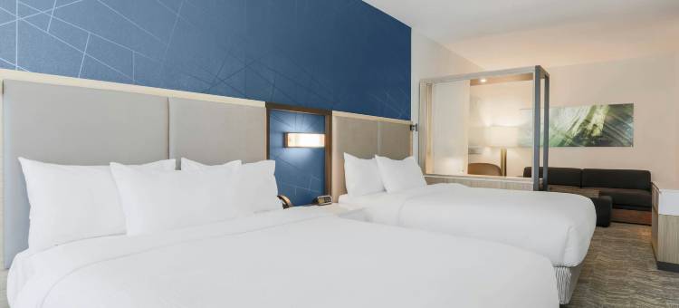 塔拉哈西北部SpringHill Suites酒店(SpringHill Suites Tallahassee North)图片