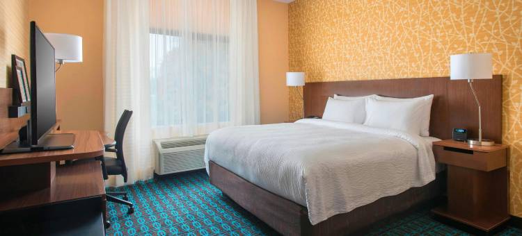 锡拉丘兹开利环岛万枫酒店及套房(Fairfield Inn & Suites Syracuse Carrier Circle)图片