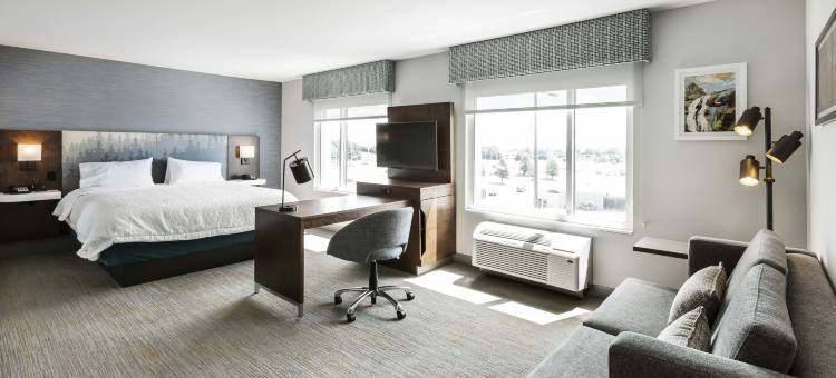 魁北克市博波特希尔顿欢朋酒店(Hampton Inn & Suites by Hilton Quebec City Beauport)图片