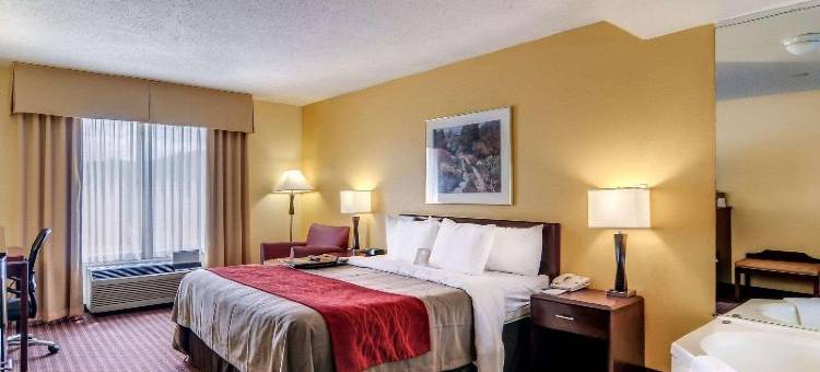希尔斯维尔I-77舒适套房酒店(Comfort Inn & Suites Hillsville I-77)图片
