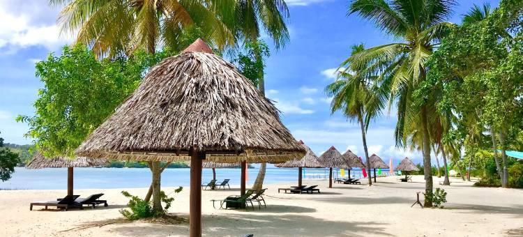 巴贝多岛度假村(Badian Island Wellness Resort)图片
