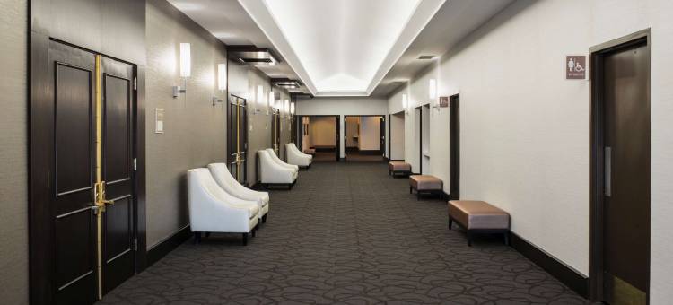 温尼伯机场希尔顿套房酒店(Hilton Winnipeg Airport Suites)图片