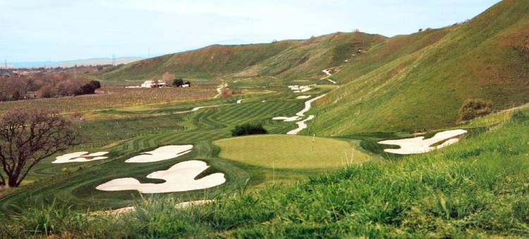 纽瓦克硅谷万怡酒店(Courtyard Newark Silicon Valley)图片