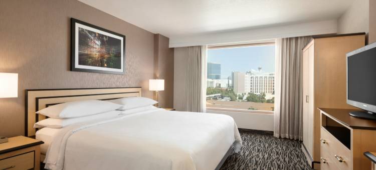 拉斯维加斯会议中心希尔顿安泊套房酒店(Embassy Suites by Hilton Convention Center Las Vegas)图片