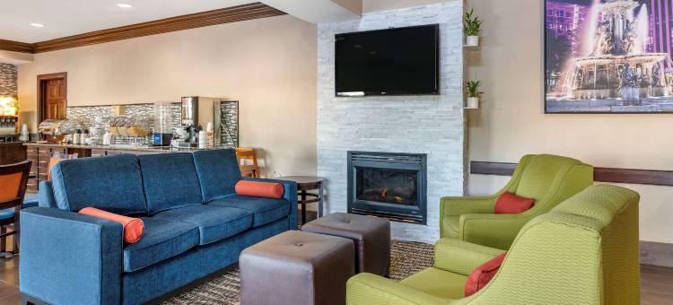 舒适套房酒店(Comfort Inn & Suites)图片