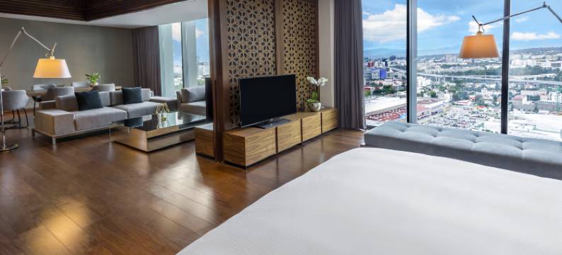 墨西哥托雷奥-美洲嘉年华(Fiesta Americana Mexico Toreo)图片