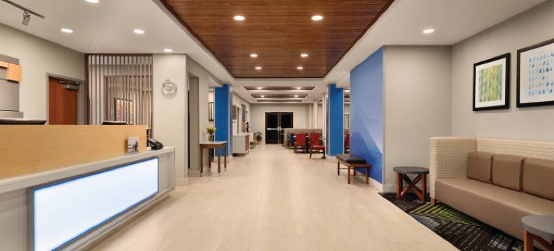 拉伏尼亚智选假日酒店(Holiday Inn Express & Suites LAVONIA by IHG)图片