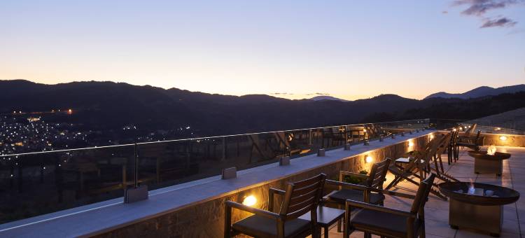 林大迈措翁大酒店(Grand Forest Metsovo - Leading Hotels of the World)图片