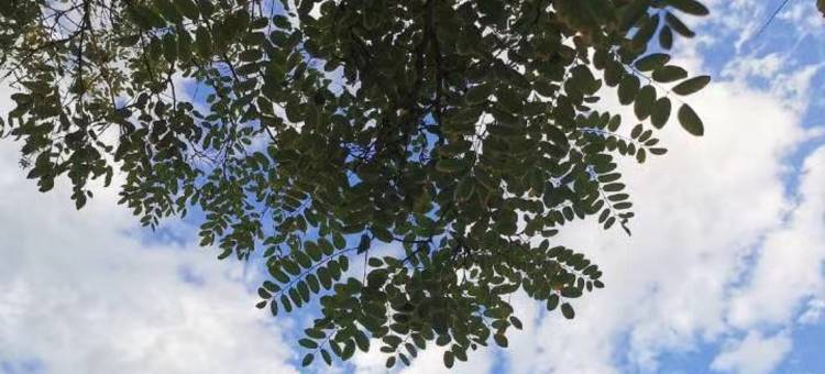 怡家宾馆(锦州医科大学附属第一医院店)图片