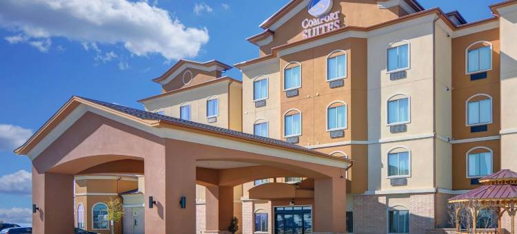沃思湖舒适套房酒店(Comfort Suites Lake Worth)图片