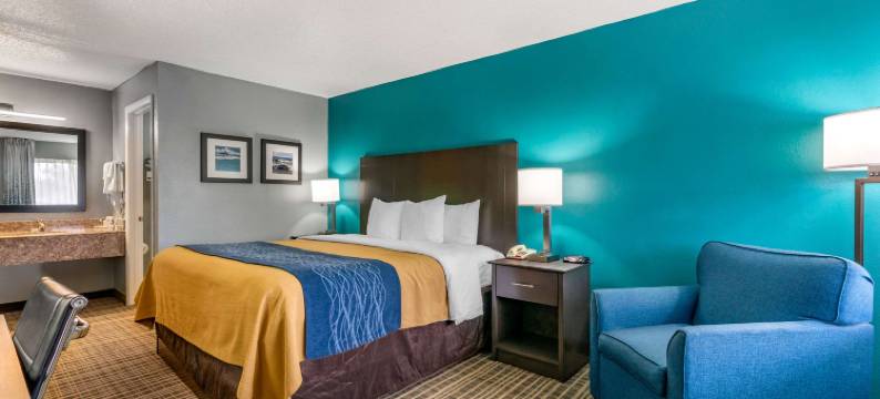 太阳城中心坦帕南舒适酒店(Comfort Inn Sun City Center - Ruskin - Tampa South)图片