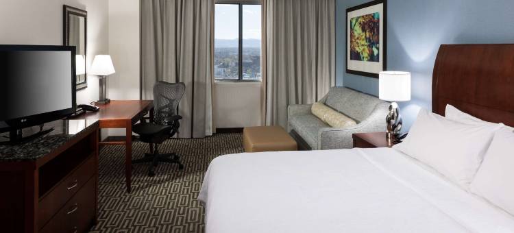 丹佛市区希尔顿花园酒店(Hilton Garden Inn Denver Downtown)图片