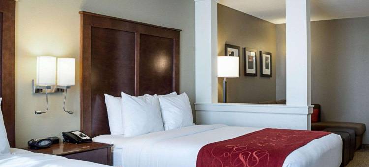 医疗中心舒适套房酒店(Comfort Suites Medical Center)图片