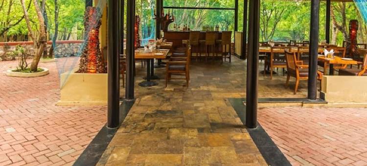 风中之花森林度假村及水疗中心(The Windflower Jungle Resort & Spa, Bandipur)图片