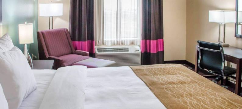 舒适酒店及套房(Comfort Inn & Suites San Marcos)图片