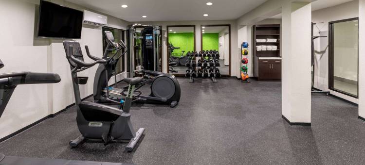 休斯顿西北拉昆塔温德姆套房酒店(La Quinta Inn & Suites by Wyndham Houston NW Brookhollow)图片